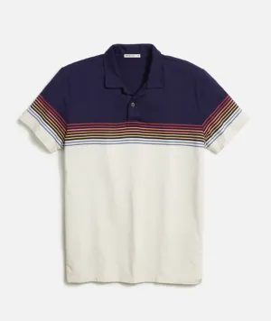 Engineered Stripe Polo - Navy Colorblock