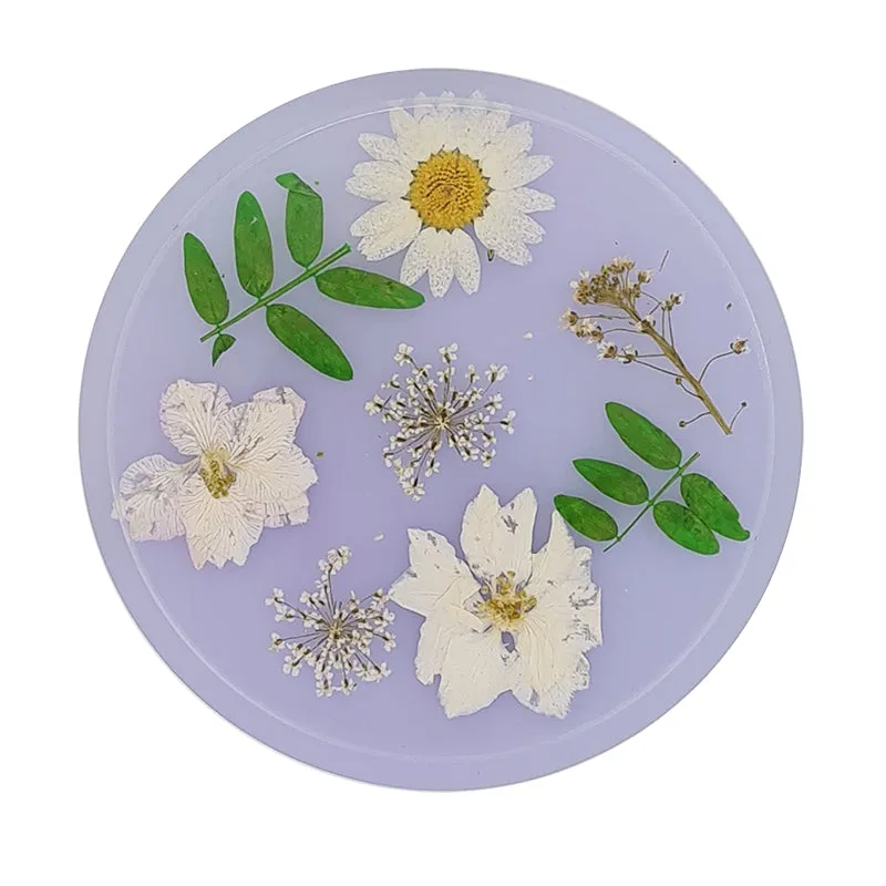 Jojomama Candy Series Coaster - Set of 4